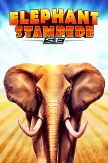 elephant stamede
